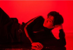 吃瓜爆料白鹿王鹤棣,瓜田李下，揭秘娱乐圈的甜蜜瓜语